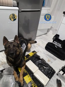 droguri de mare risc (1)