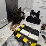 droguri de mare risc (3)