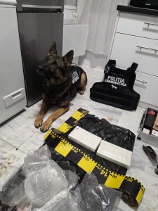 droguri de mare risc (3)