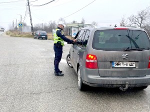 filtre rutiere în Curtea de Argeș (1)