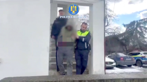 furt calificat com bradulet arges (4)