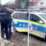 furt calificat com bradulet arges (6)