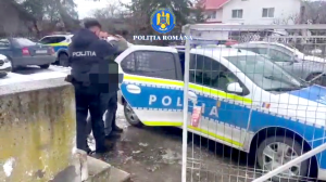 furt calificat com bradulet arges (6)