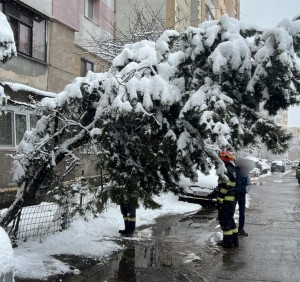 interventie isu arges (1)