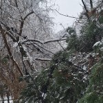 interventie isu arges (2)