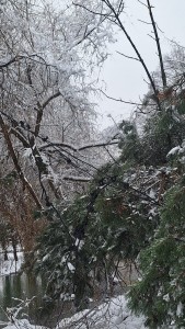 interventie isu arges (2)