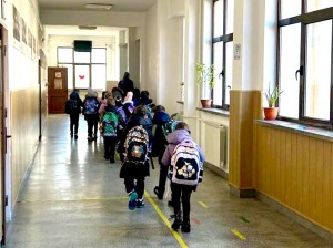 isu arges activitati (10)