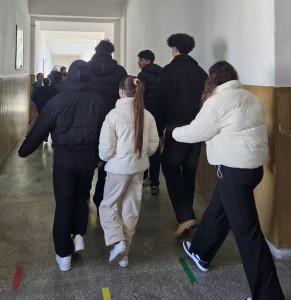 isu arges activitati (7)