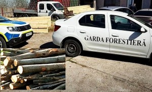 material-lemnos-fara-documente-2