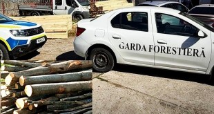 material-lemnos-fara-documente-2