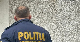 politist curtea de arges