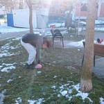 posesori de caini (1)