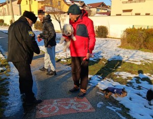 posesori de caini (2)