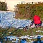 posesori de caini (5)