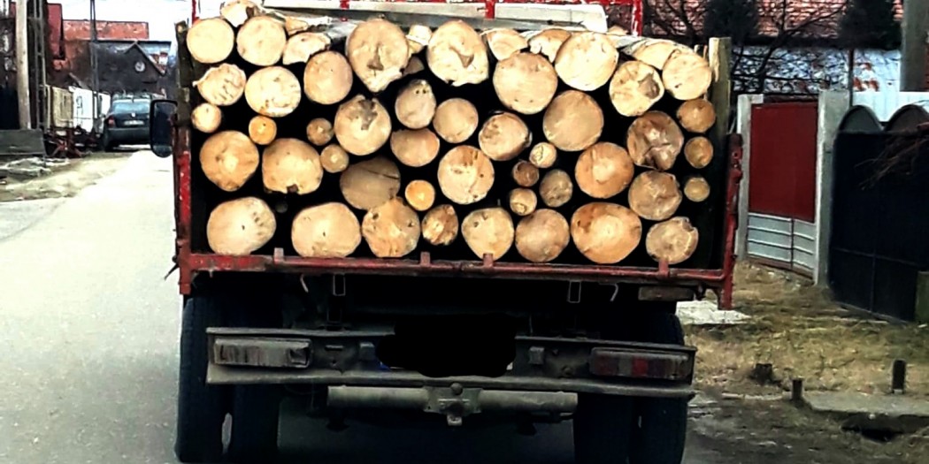 transport-de-material-lemnos-confiscat-1