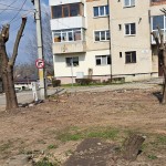 Acțiuni de control ale Poliției Locale (3)