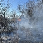 Incendii de vegetație uscată (1)