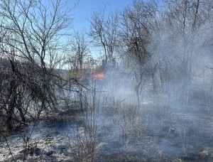 Incendii de vegetație uscată (1)