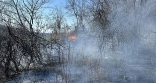 Incendii de vegetație uscată (1)