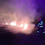 Incendii de vegetație uscată (2)