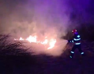 Incendii de vegetație uscată (2)