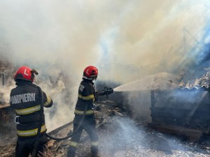 Incendii de vegetație uscată (3)