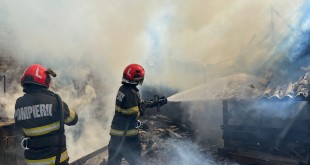 Incendii de vegetație uscată (3)