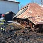 Incendii de vegetație uscată (4)