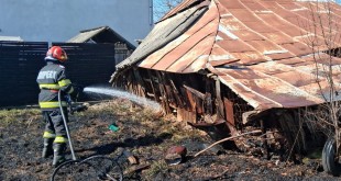 Incendii de vegetație uscată (4)