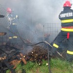 Incendiu într-o gospodărie din comuna Căldăraru, satul Strâmbeni (2)