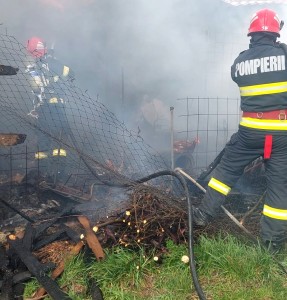 Incendiu într-o gospodărie din comuna Căldăraru, satul Strâmbeni (2)