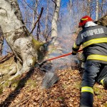 Incendiul Corbeni (1)