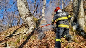 Incendiul Corbeni (1)
