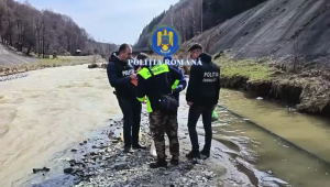 Percheziții în Arefu și Bascov (1)