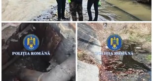 Percheziții în Arefu și Bascov (1)