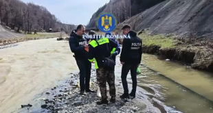 Percheziții în Arefu și Bascov (1)