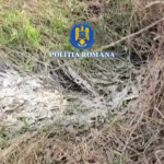 Percheziții în Arefu și Bascov (2)