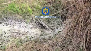 Percheziții în Arefu și Bascov (2)