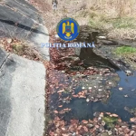 Percheziții în Arefu și Bascov (5)