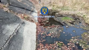 Percheziții în Arefu și Bascov (5)