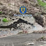 Percheziții în Arefu și Bascov (6)