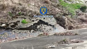 Percheziții în Arefu și Bascov (6)