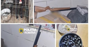 Percheziții în comuna Mozăceni (1)