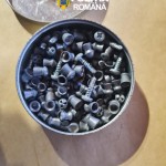 Percheziții în comuna Mozăceni (2)