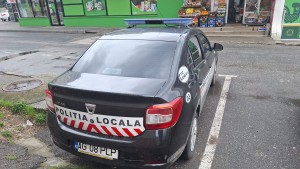 Poliția Locale Pitești - Sancțiuni