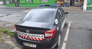 Poliția Locale Pitești - Sancțiuni