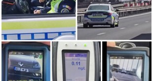 Serviciului Rutier Argeș (2)