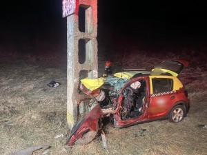 accident nortal davidesti