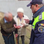 bani gasiti mihaesti (6)