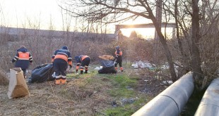 igienizarea teren Prundu (1)